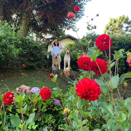 Casa Das Dalias Monte Verde  Bagian luar foto