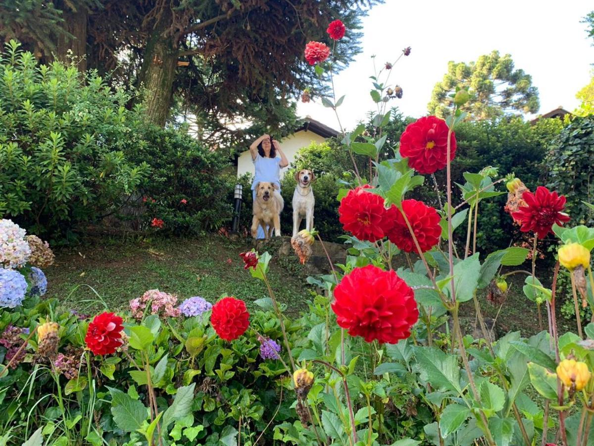 Casa Das Dalias Monte Verde  Bagian luar foto