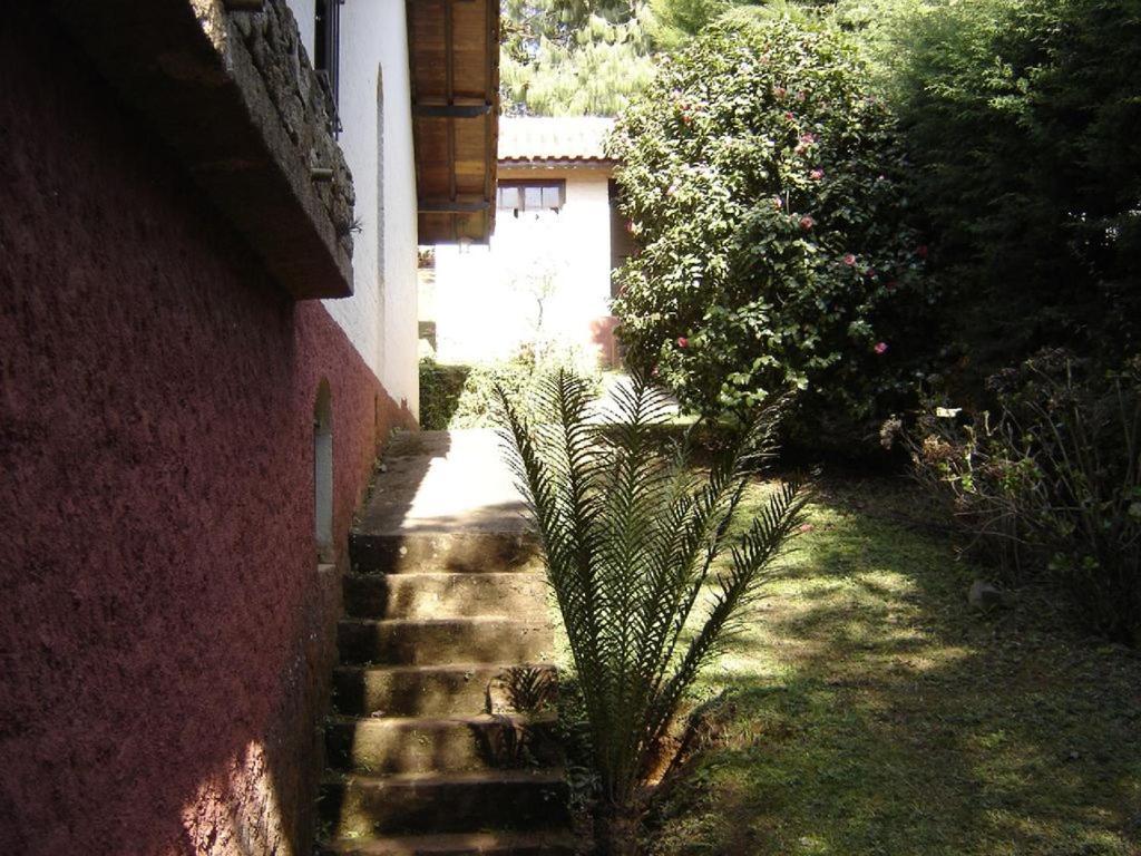 Casa Das Dalias Monte Verde  Bagian luar foto